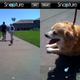 Illustration for article titled Snapture 2.0 Further Improves iPhones Camera